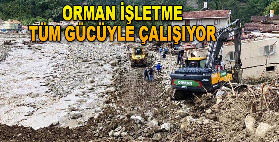 Orman İşletme Tüm Gücüyle Çalışıyor