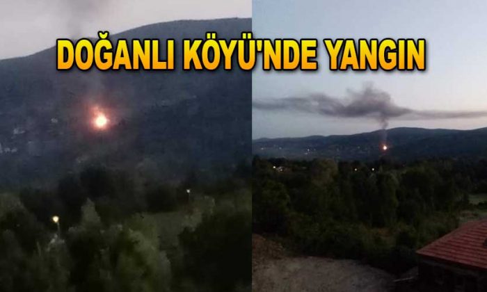 Doğanlı Köyü’nde Yangın