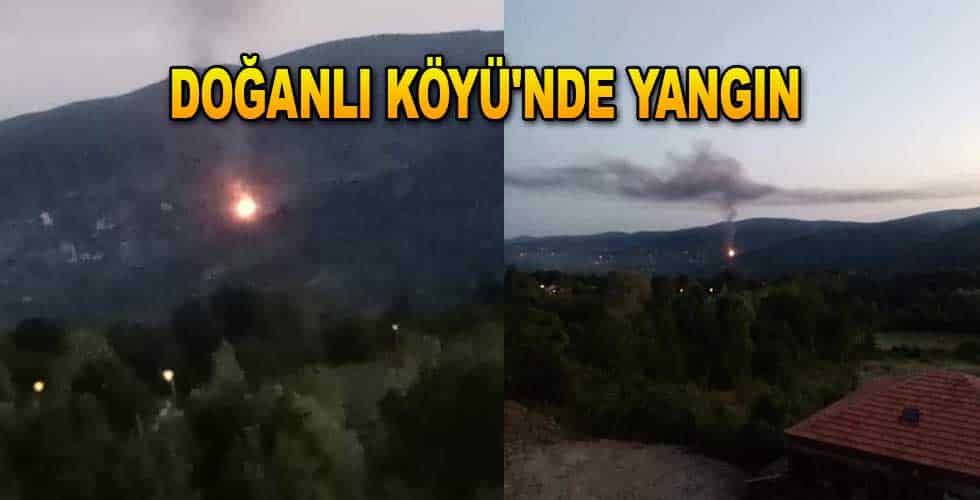 Doğanlı Köyü’nde Yangın