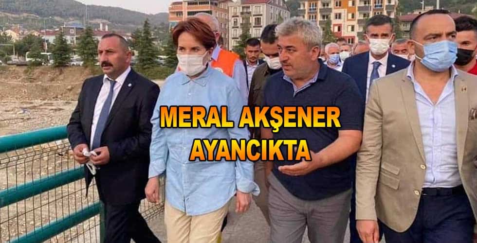 Meral Akşener Ayancıkta