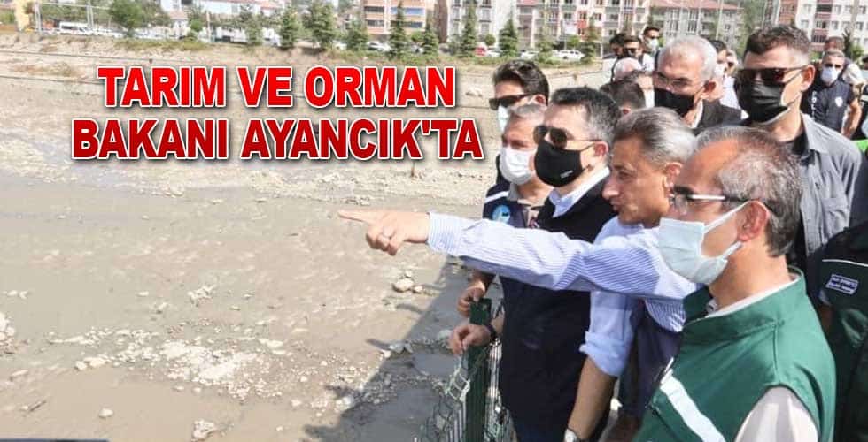 Tarım ve Orman Bakanı Ayancık’ta