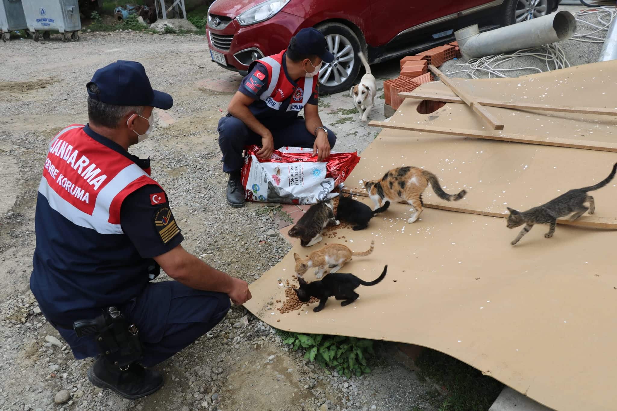 Samsun Jandarma "HAYDİ" Ekipleri Ayancık'ta