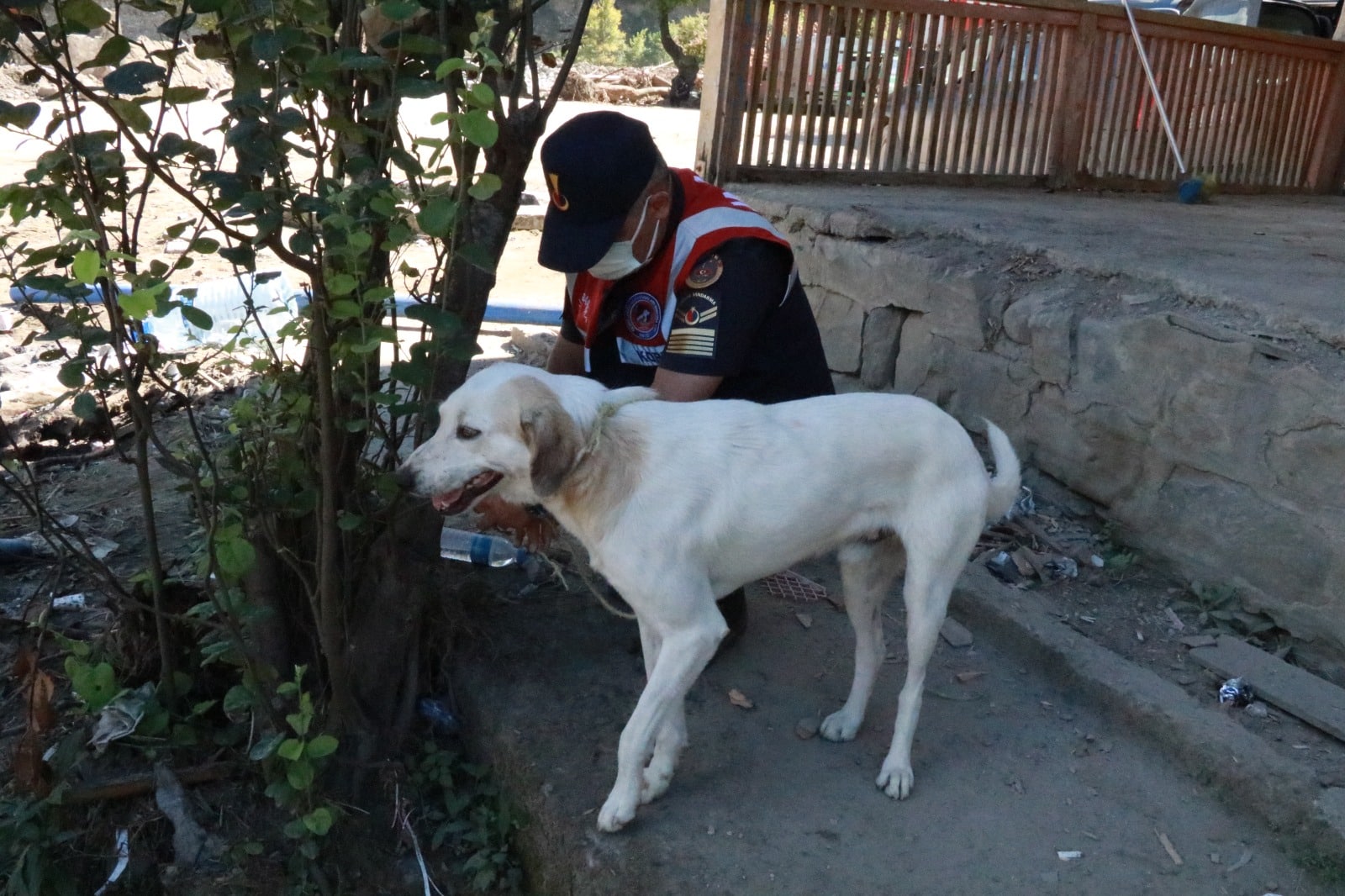 Samsun Jandarma "HAYDİ" Ekipleri Ayancık'ta