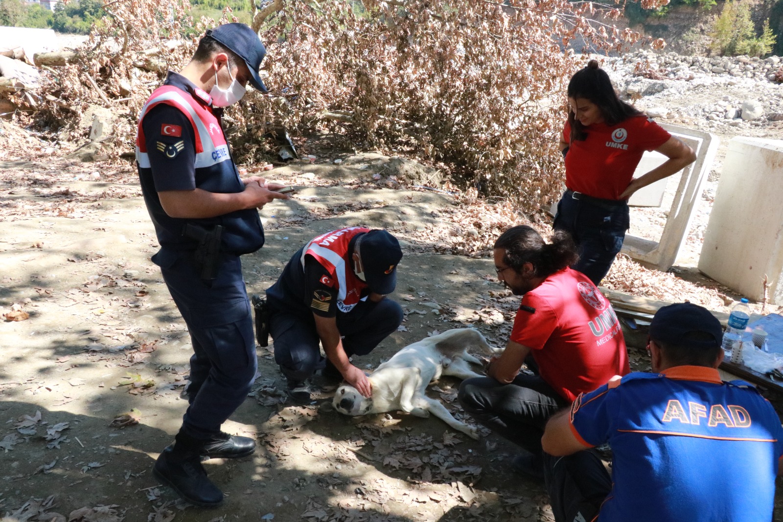 Samsun Jandarma "HAYDİ" Ekipleri Ayancık'ta