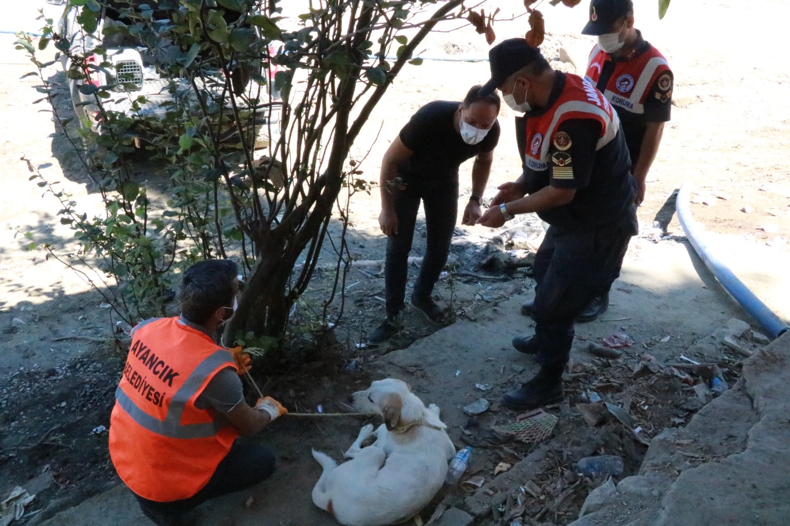 Samsun Jandarma "HAYDİ" Ekipleri Ayancık'ta