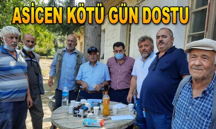 ASİCEN KÖTÜ GÜN DOSTU
