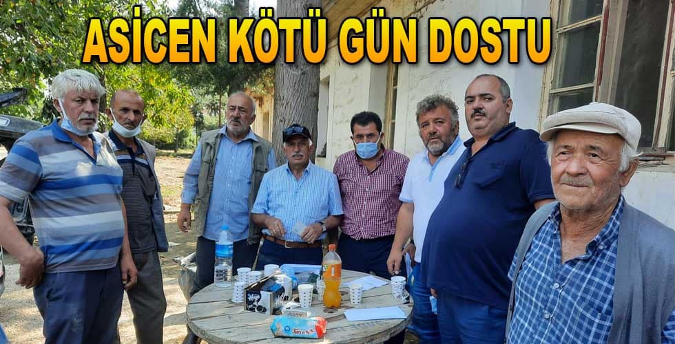 ASİCEN KÖTÜ GÜN DOSTU