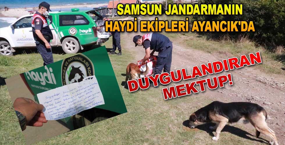 Samsun Jandarma “HAYDİ” Ekipleri Ayancık’ta