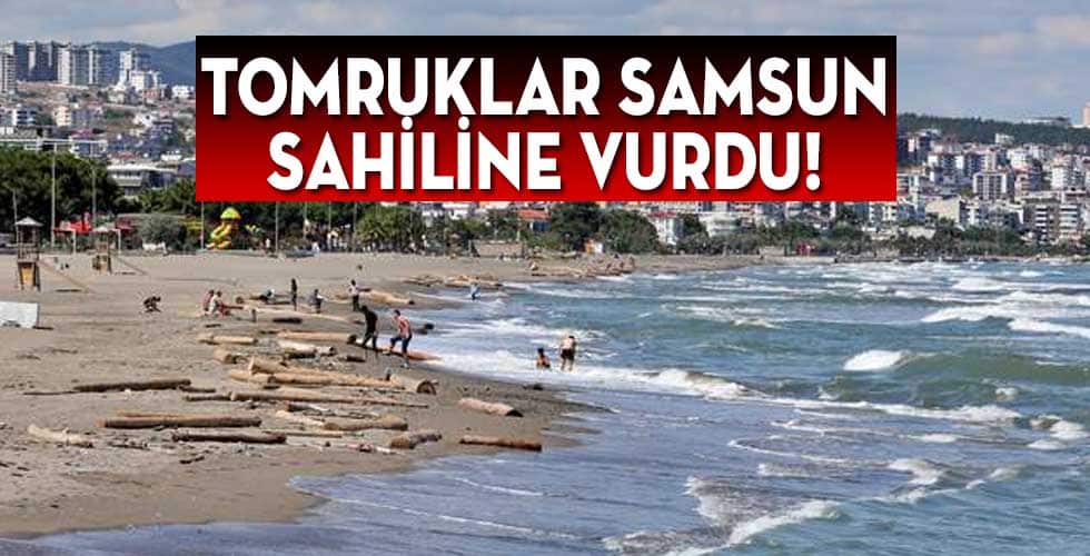 Topruklar Samsun sahiline vurdu!