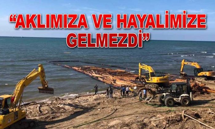 KIYIYA VURAN TOMRUKLAR TOPLANIYOR