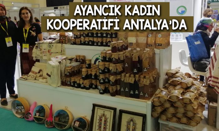 Ayancık Kadın Kooperatifi Antalya’da