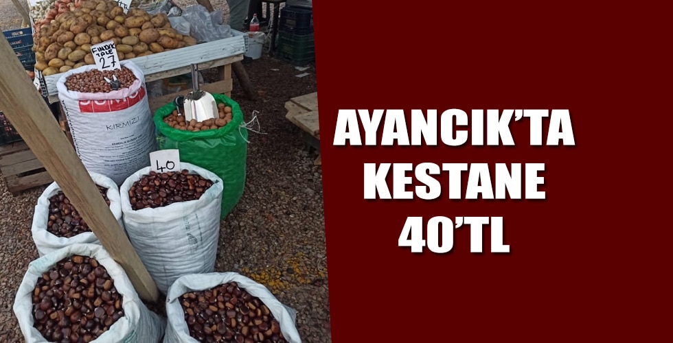 KESTANE 40TL