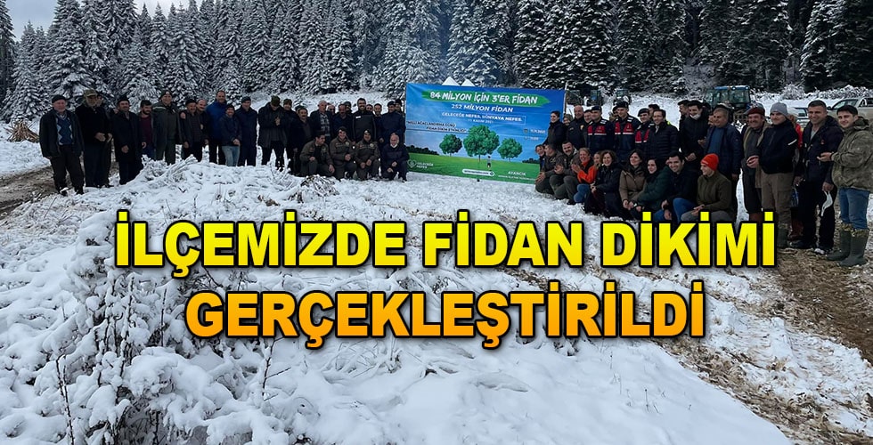 Ayancık’ta Fidan Dikimi Gerçekleştirildi