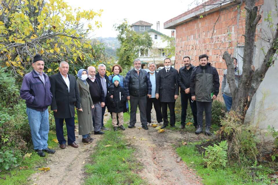 Sinop Zeytin Üretiminde Start Aldı