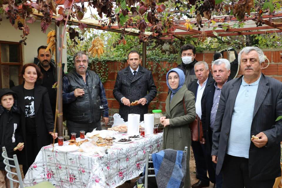 Sinop Zeytin Üretiminde Start Aldı