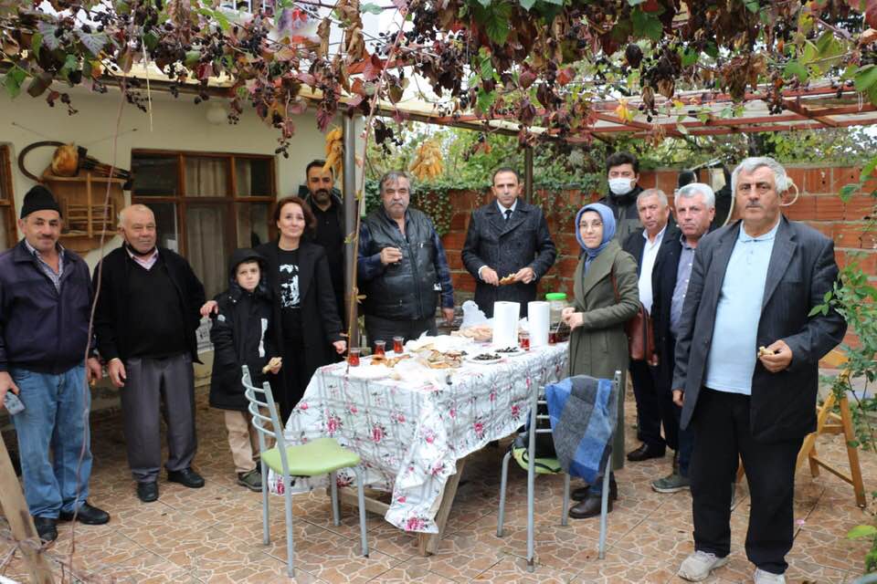 Sinop Zeytin Üretiminde Start Aldı