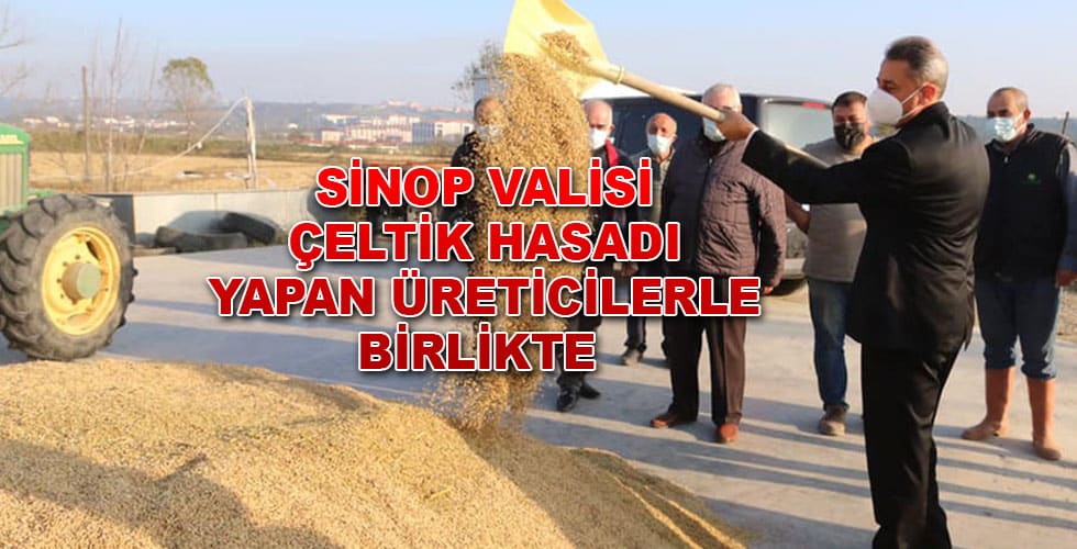 Sinop Valisi Çeltik Hasadı yapan üreticilerle birlikte