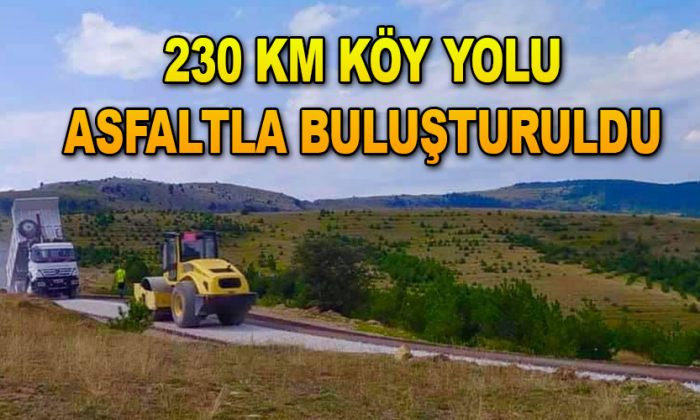 230 KM KÖY YOLU ASFALTLA BULUŞTURULDU