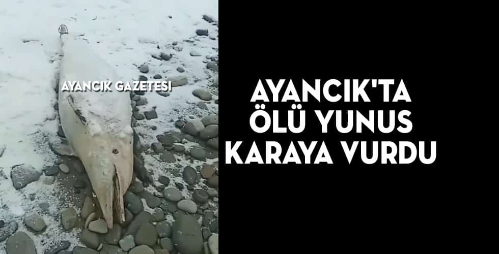 AYANCIK’TA ÖLÜ YUNUS KARAYA VURDU