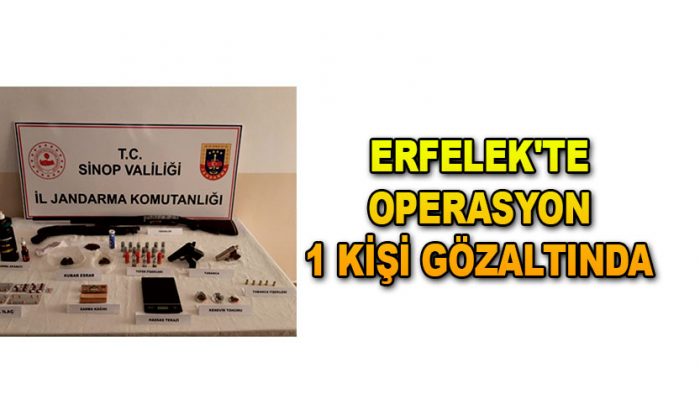 Erfelek’te Operasyon 1 Kişi Gözaltında