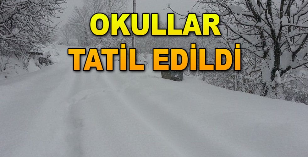 Ayancık’ta Yoğun Kar Dolayısıyla Okullar Tatil Edildi