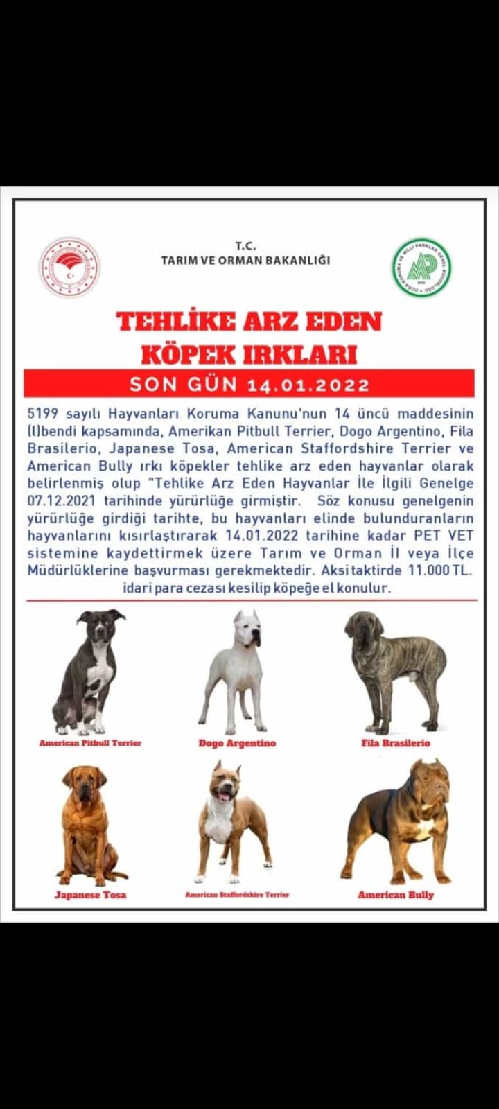 DİKKAT! Tehlikeli köpek ırkları için yeni dönem