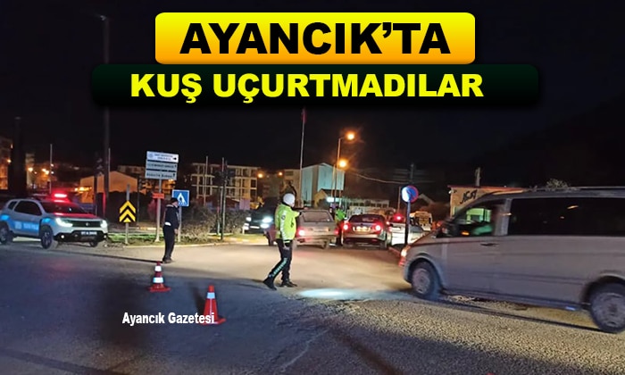 Ayancık’taki Bütün Araçlar Arandı