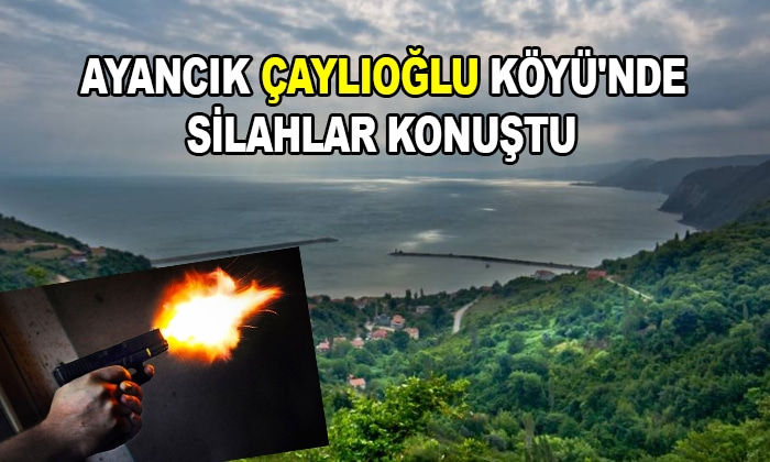 Ayancık Çaylıoğlu Köyü’nde Silahlar Konuştu