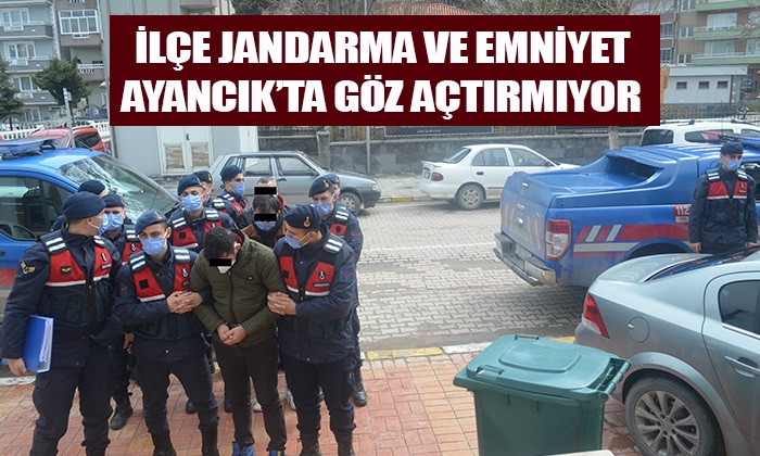 İlçe Jandarma ve Emniyet Ayancık’ta Göz Açtırmıyor