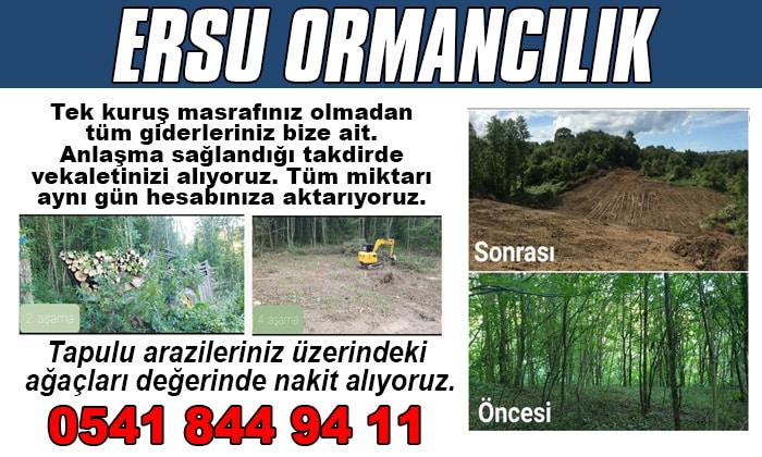 Ersu Ormancılık