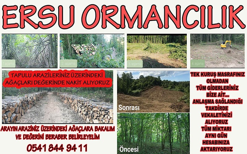 Ersu Ormancılık