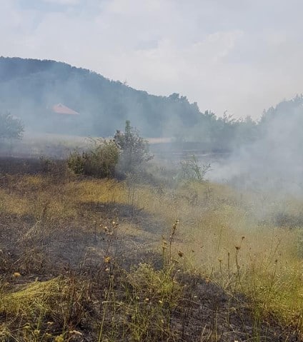 Dedeağaç Köyünde Yangın Çıktı