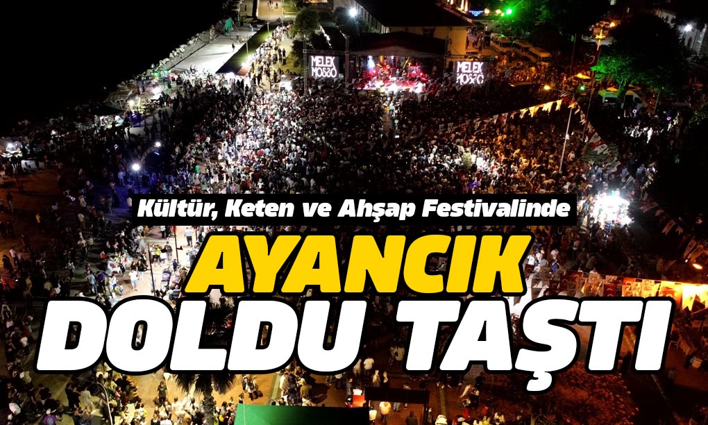 27. Ayancık Festivali Coşkuyla Başladı