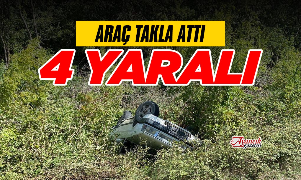 Ayancık-Sinop Yolunda Araç Takla Attı