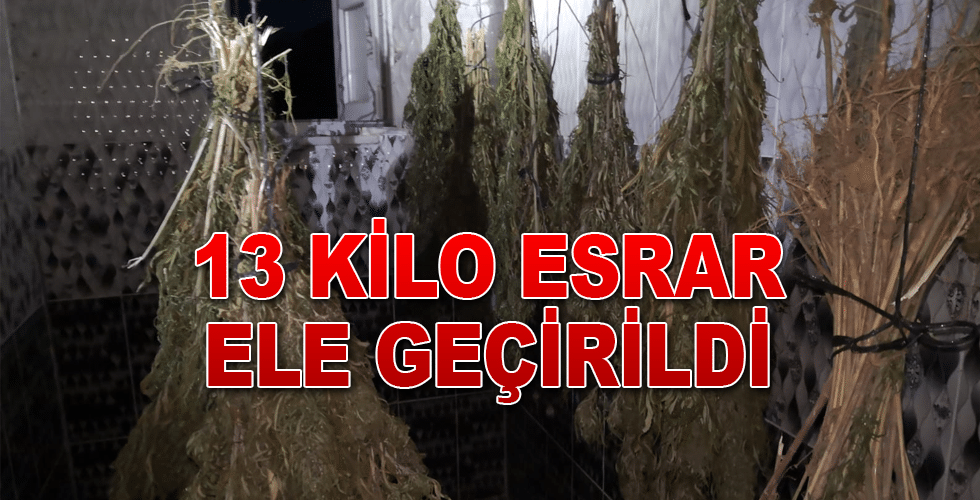 Sinop’ta Esrar Ele Geçirildi