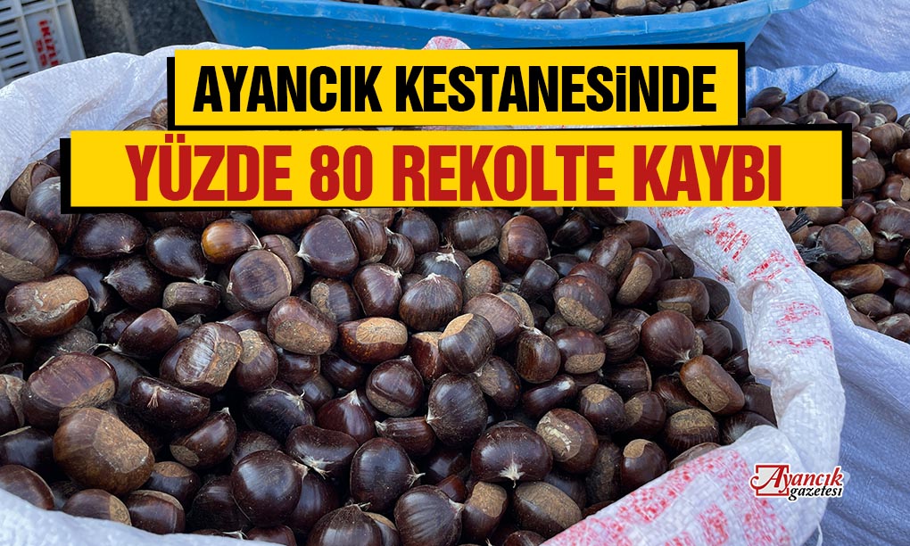 Kestanede Yüzde 80’e Varan Rekolte Düşüşü Yaşandı