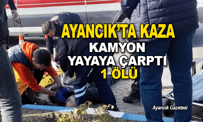 Kamyon Yayaya Çarptı: 1 Ölü