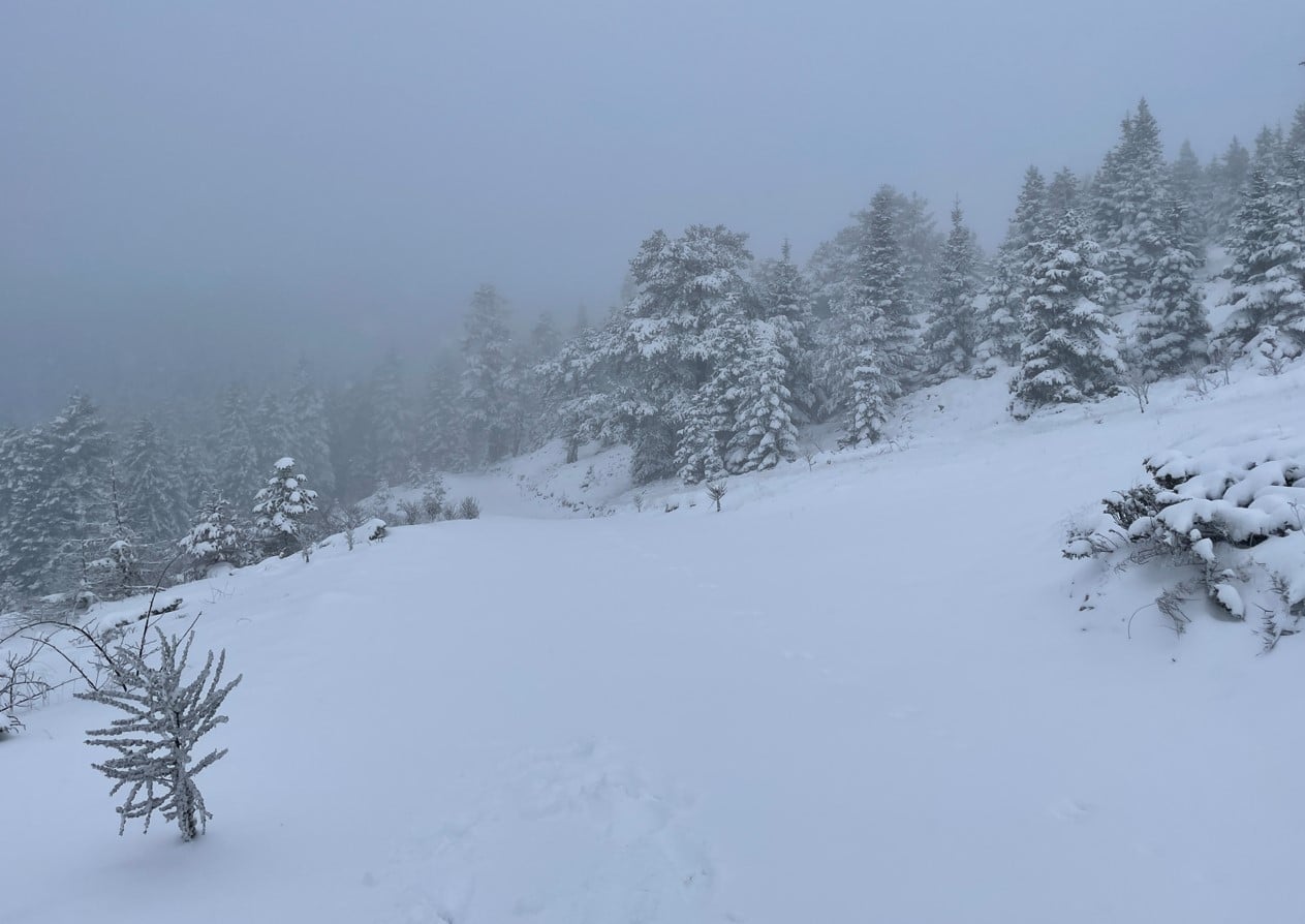 Ayancık'ın Yükseklerinde Kar Kalınlığı 50 Santimetreye Ulaştı