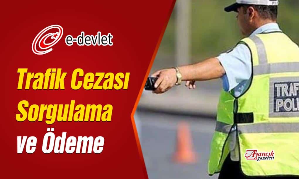 E-Devlet ile Trafik Cezası Sorgulamak ve Ödemek