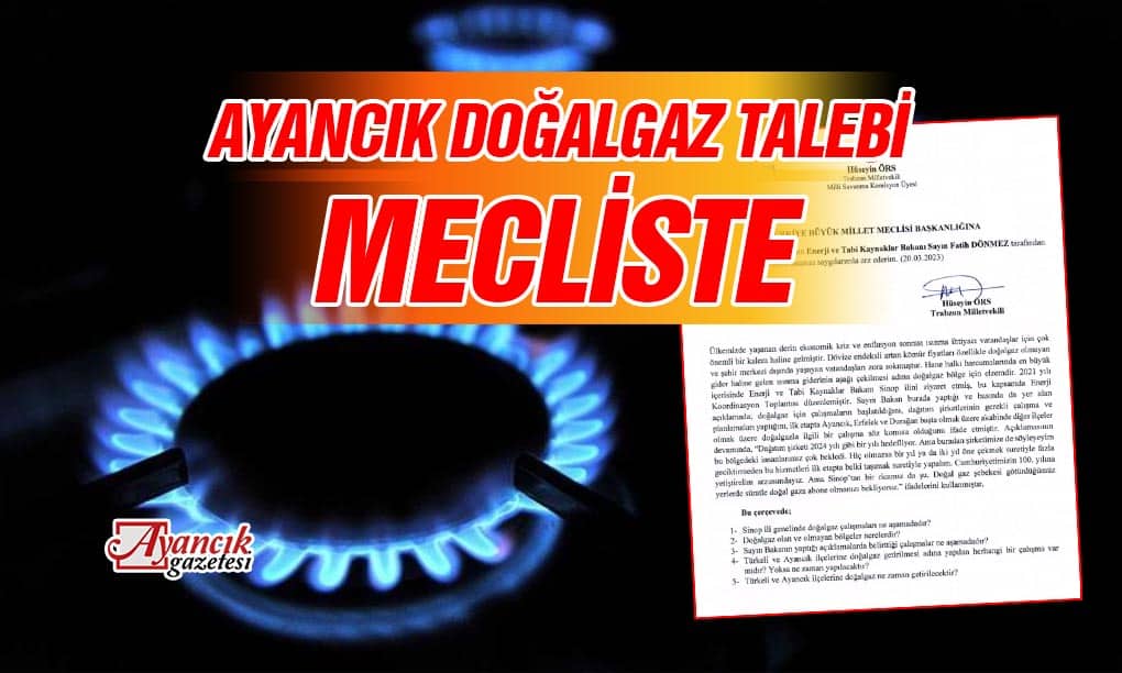 Ayancık ve Türkeli Doğalgazı Mecliste Gündeme Getirildi