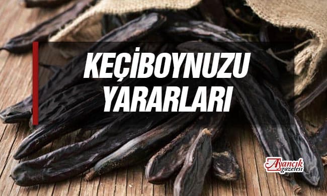 Keçiboynuzunun Sağlık İçin 8 Faydası