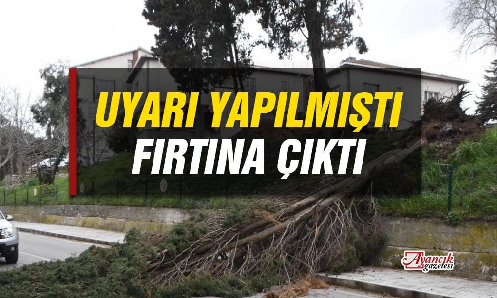 Uyarı Yapılmıştı! Sinop’ta Fırtına Çıktı