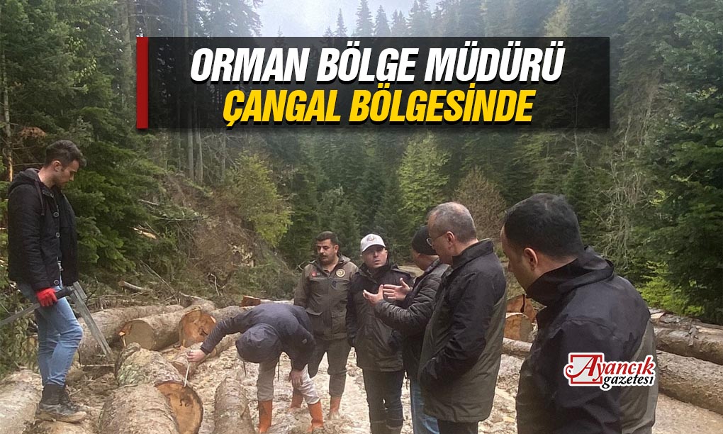 Orman Bölge Müdürü Ayancık’ta