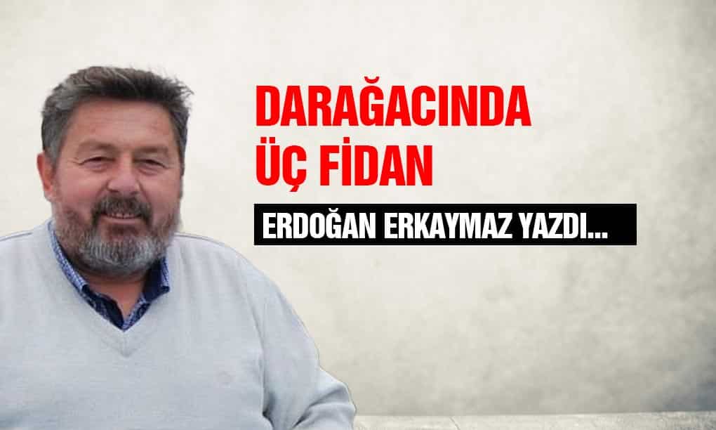 Darağacında 3 Fidan