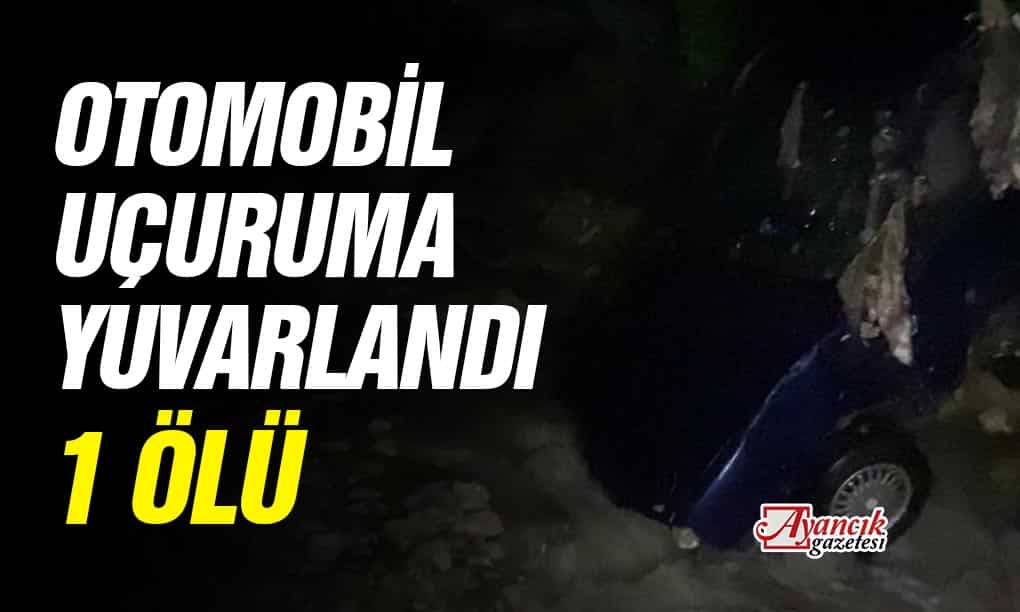 Ayancık’ta otomobil uçuruma yuvarlandı: 1 ölü
