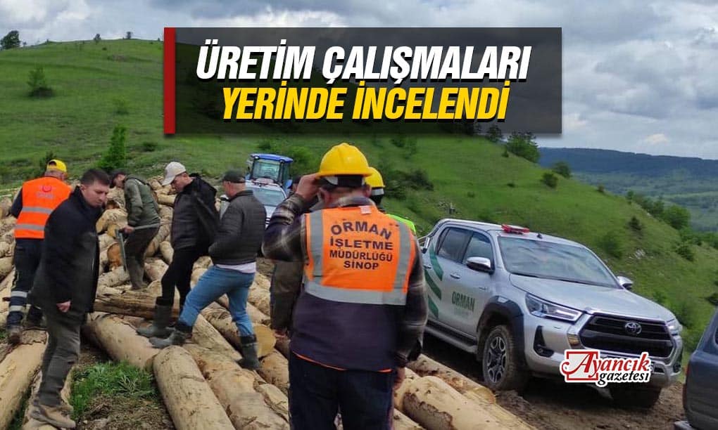 Ayancık’ta Orman Emvali Üretim Çalışmaları Kontrol Edildi