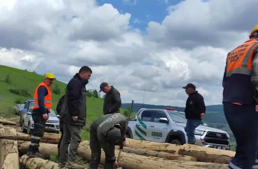 Ayancık'ta Orman Emvali Üretim Çalışmaları Kontrol Edildi