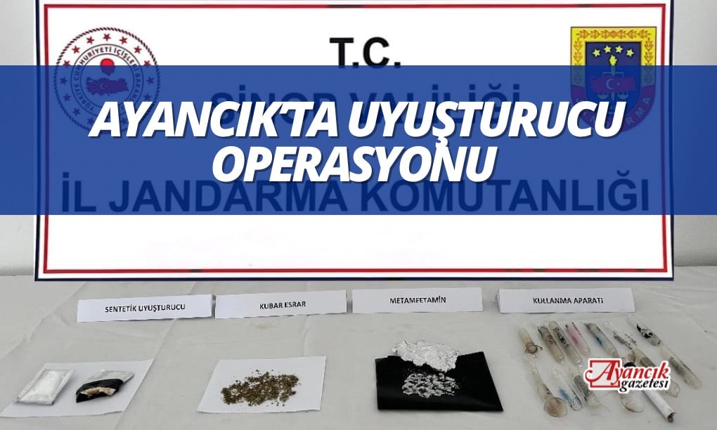 Ayancık’ta Uyuşturucu Madde Operasyonunda 1 Kişi Yakalandı