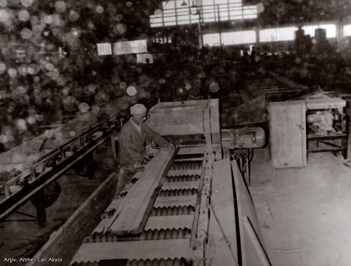 Ayancık Kereste Fabrikası Tarihçesi