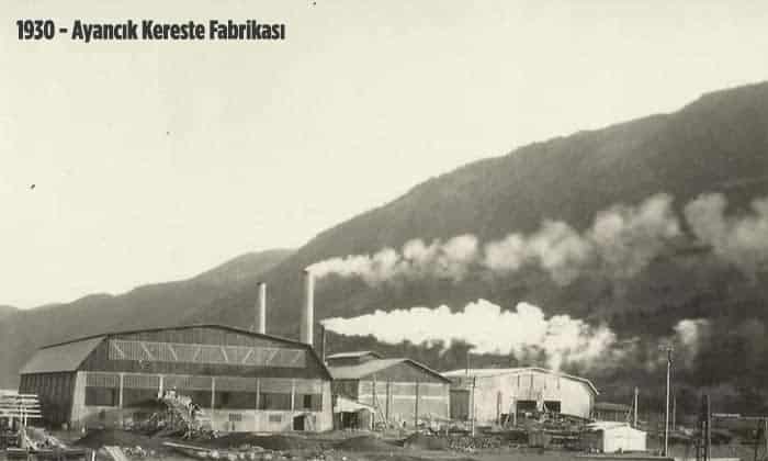 Ayancık Kereste Fabrikası Tarihçesi